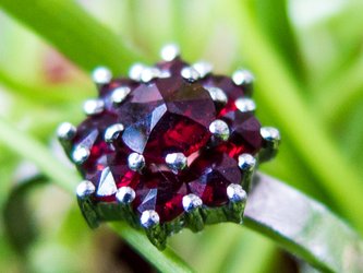 main picture Czech Garnet